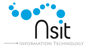 Logo NSIT web